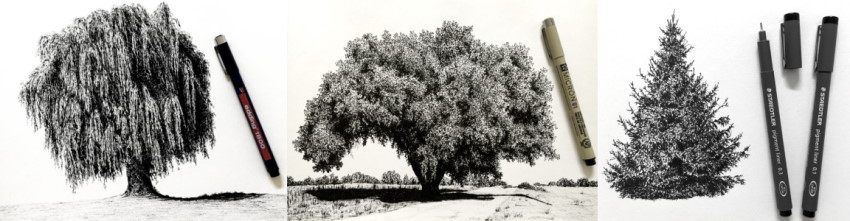 דוגמאות מהמדריך שלי לציור עצים בסגנון ריאליסטי