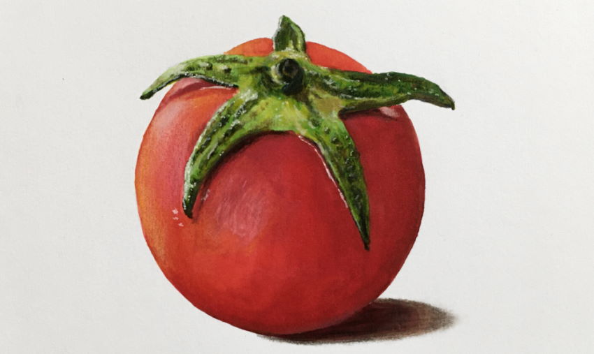 ציור של עגבנייה עם מרקרים ועפרונות צבעוניים