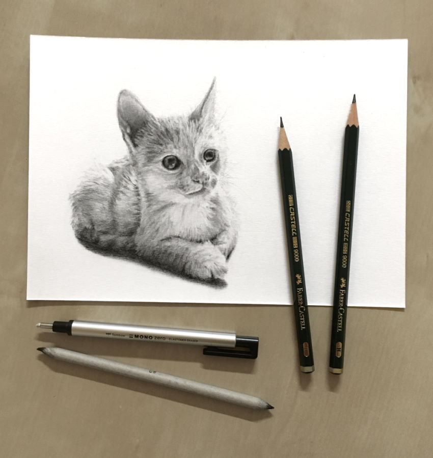 רישום ריאליסטי של חתול, עם עפרונות גרפיט