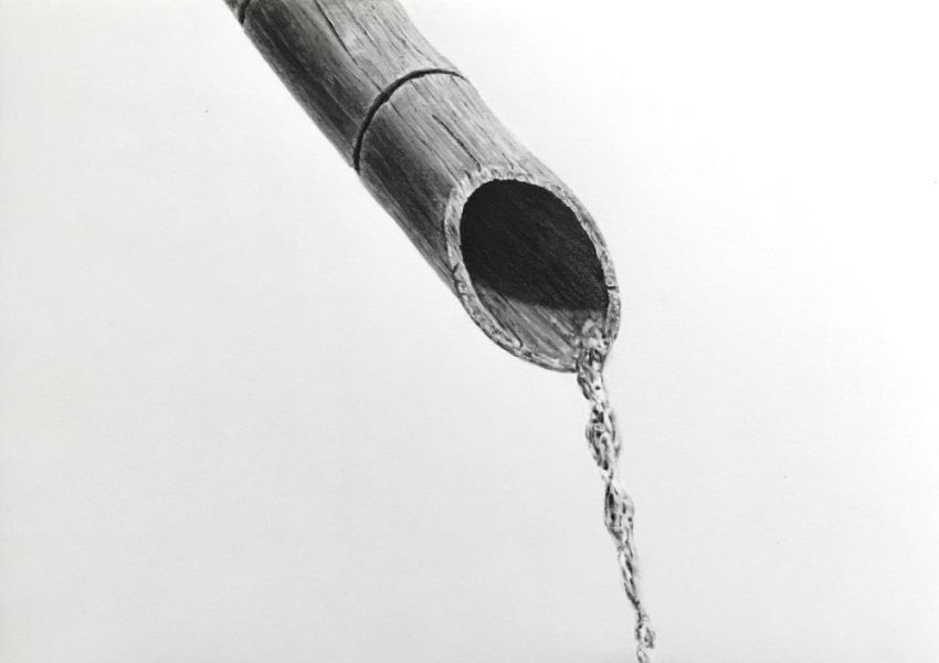 רישום בעיפרון של במבוק עם מים נוטפים
