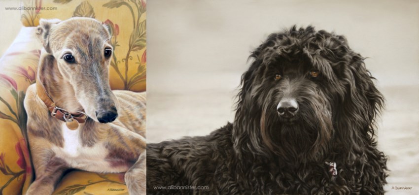 ציורי דיוקן של כלבים על ידי אלי בניסטר