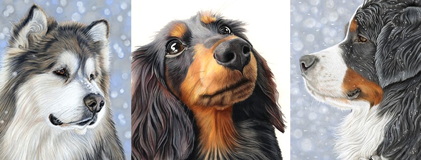 ציור דיוקנאות של כלבים על ידי דונה