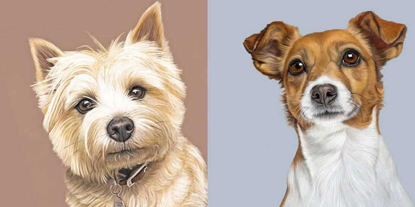 ציורי דיוקן של כלבים, אומנית דונה