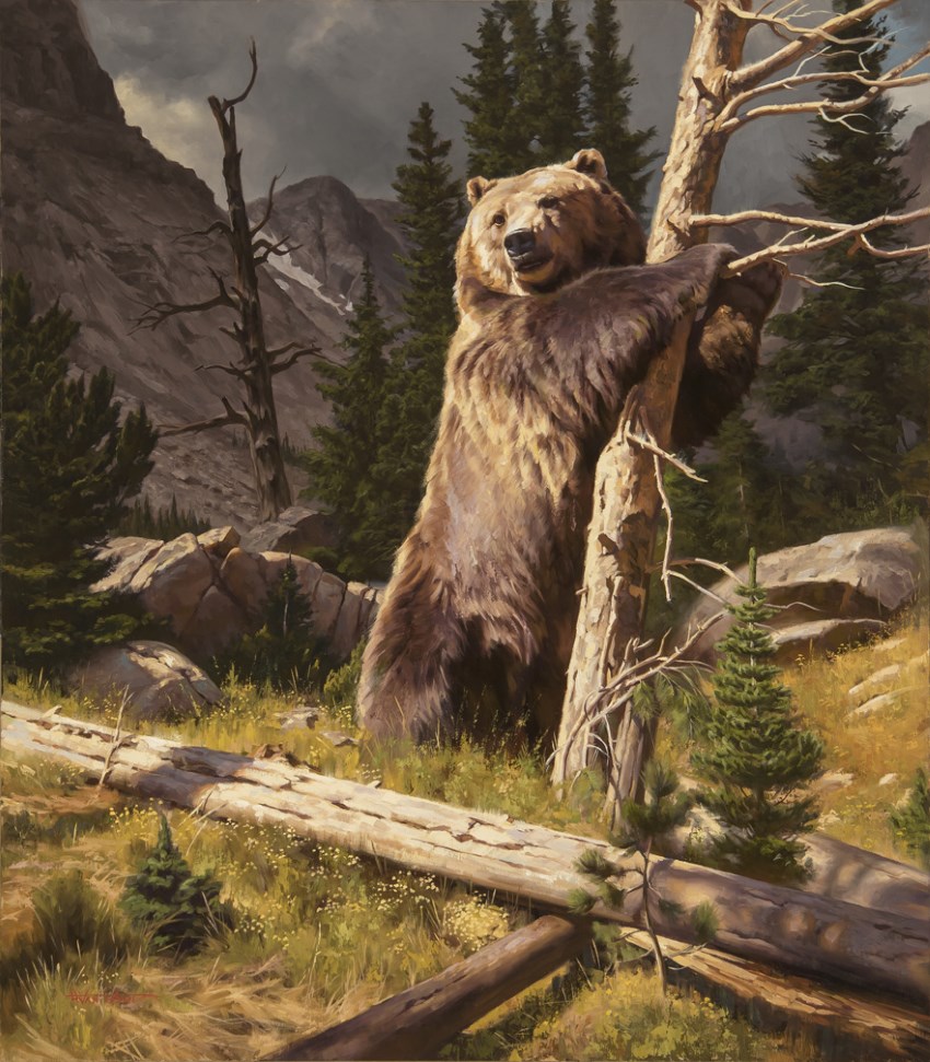 ציור ריאליסטי של דוב חום על ידי דסטין