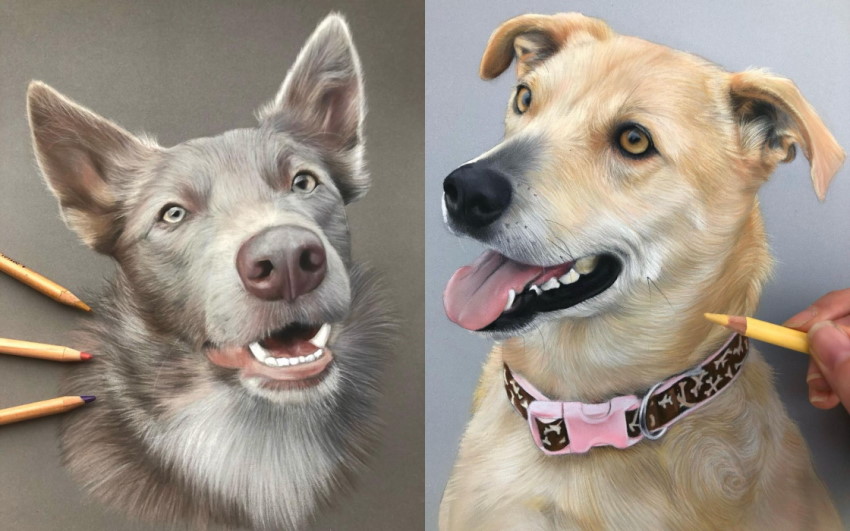 ציורי כלבים על ידי איימי מקים