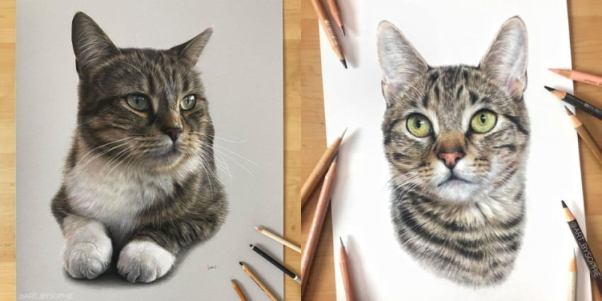 ציורי דיוקנאות של חתולים על ידי סופי טאט