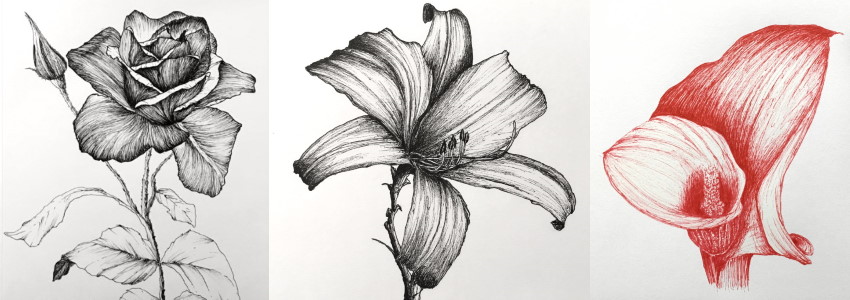 ציור פרחים בעזרת עט