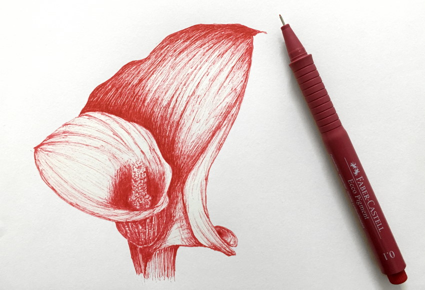 רישום בעט אדום של פרח אנתוריון