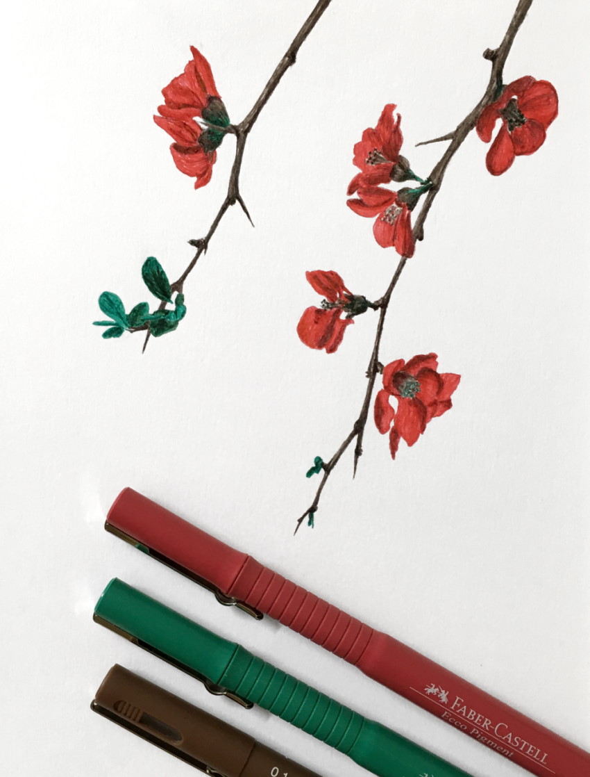 ציור של פרחי פריש יפני בעזרת עטים צבעוניים