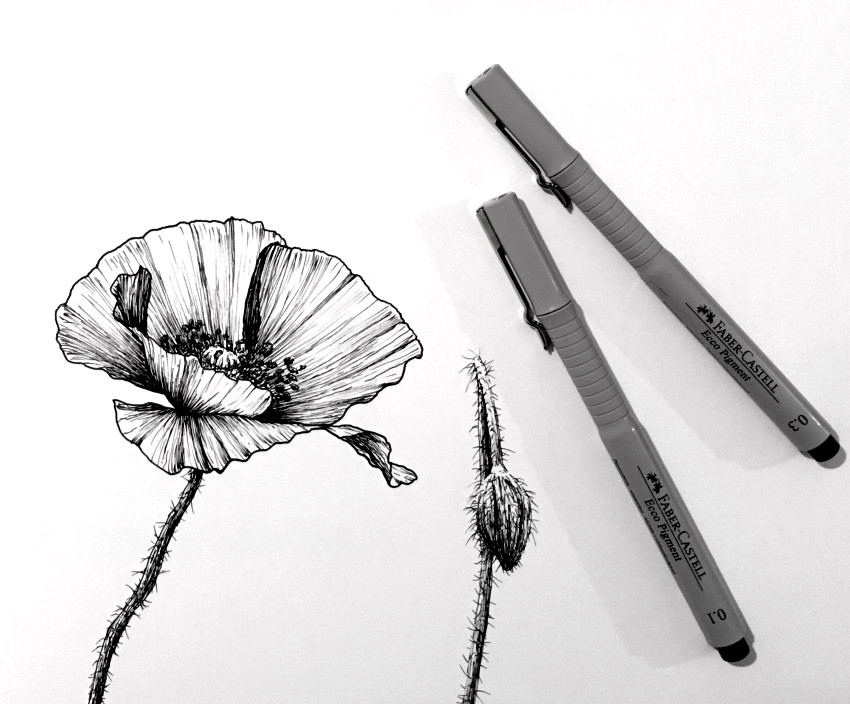 ציור בעט של פרח פרג