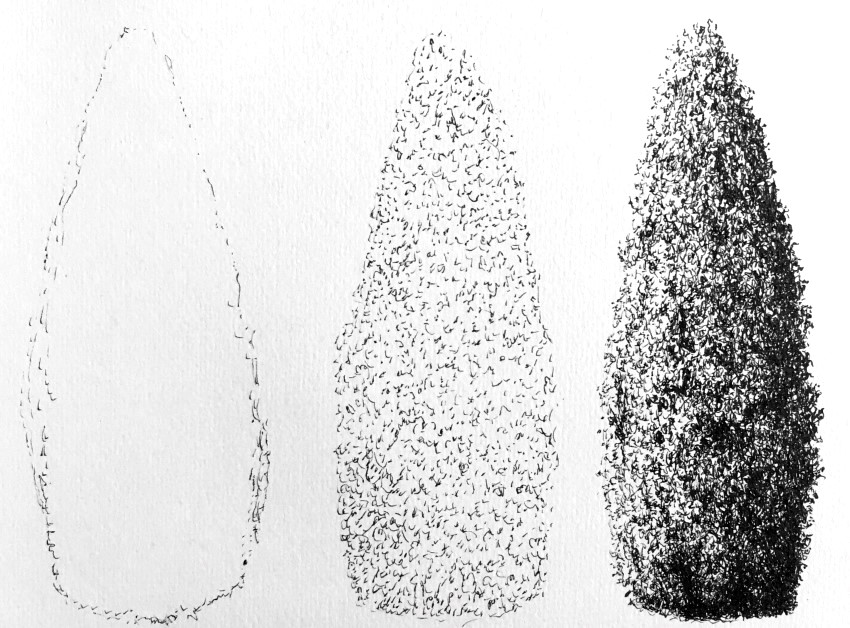 כיצד לצייר עצי אורן או מחט מהדמיון בעזרת עט