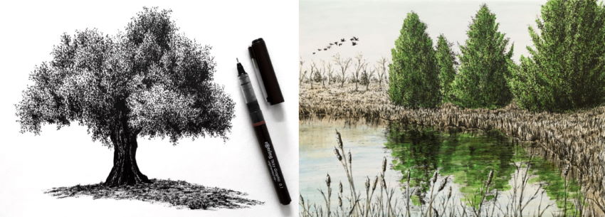 דוגמאות לציור עצים עם עטים ומרקרים