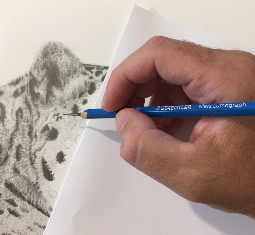 כיצד לצייר בעיפרון ללא מריחת הגרפיט