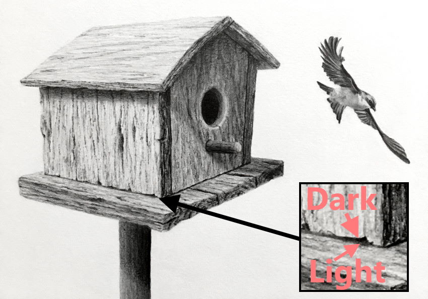 ציור בעיפרון של בית ציפורים עם ציפור עפה מסוג סנונית העצים