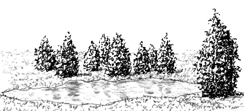 רישום בעט של אגם עם קיצור בציור בפרספקטיבה
