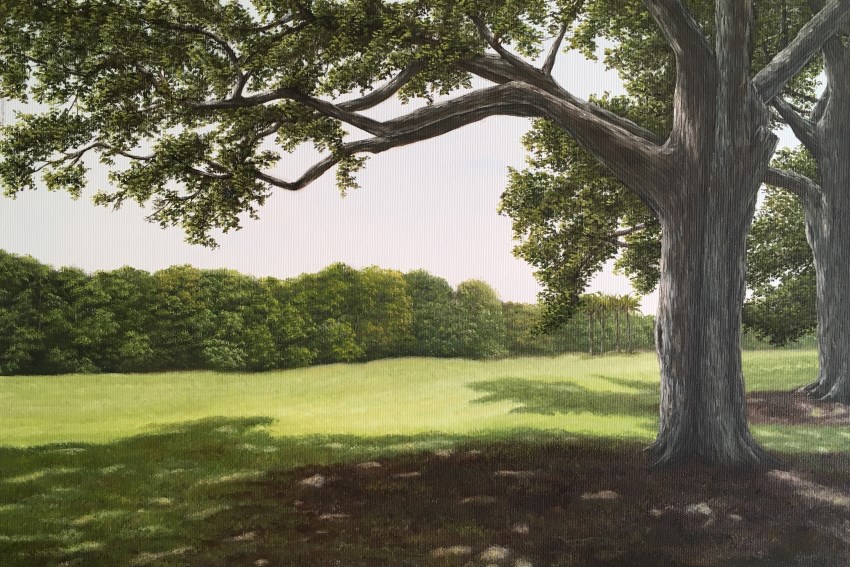 ציור שמן ריאליסטי של עץ אלון באחו