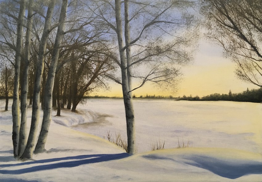 ציור שמן עצי ליבנה (שדר) בשלג