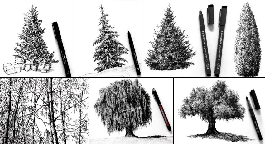 ציור עצים בעזרת עט