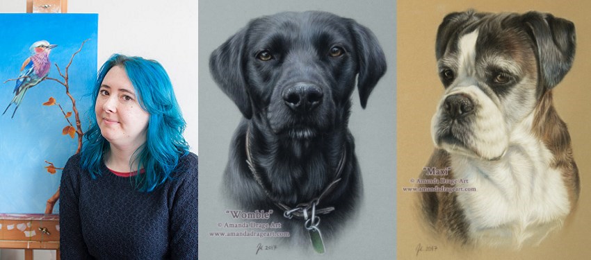 ציורי דיוקן של כלבים כל ידי אמנדה דרייג