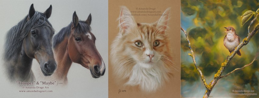 ציורים של חתולים, סוסים וציפורים, אמנדה דרייג