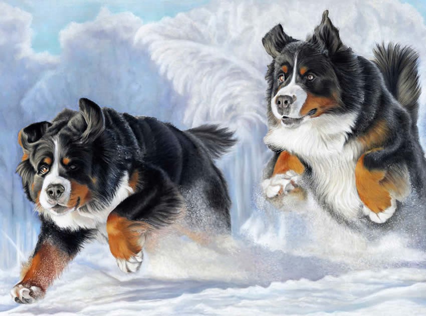 ציורי דיוקן של כלבים על ידי הציירת דונה