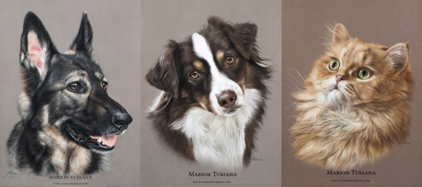 Pet portrait painting by Marion Tubiana