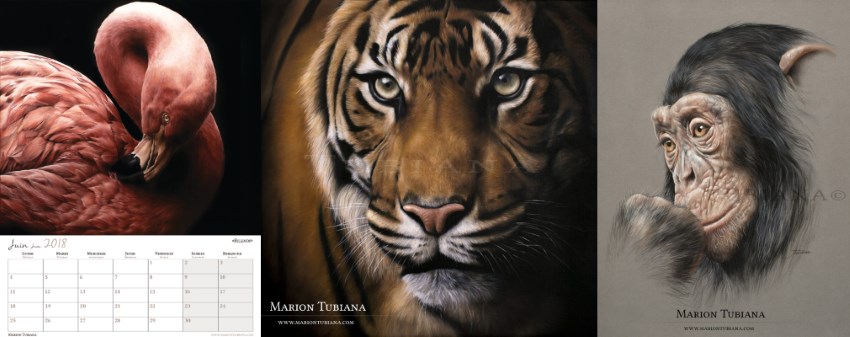 Wildlife paintings by Marion Tubiana