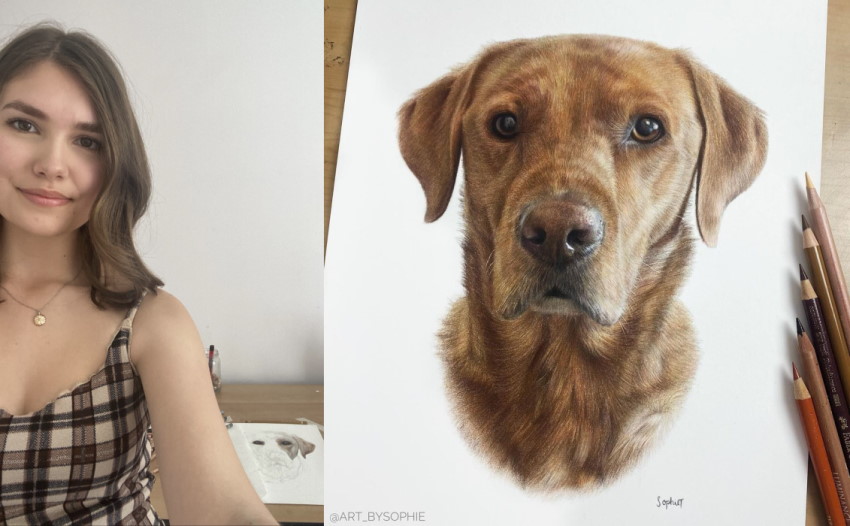 סופי טאט וציור דיוקן של כלב