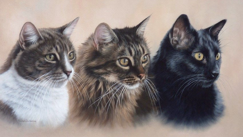 ציור דיוקן של שלושה חתולים על ידי רייצל סטריבלינג