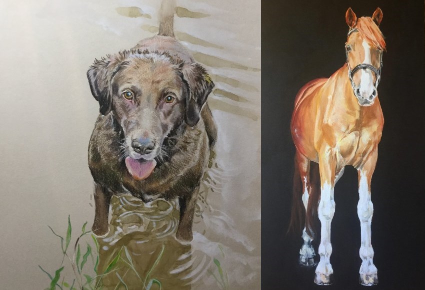 ציורי דיוקן של כלב וסוס על ידי קרוליין ואן ויק