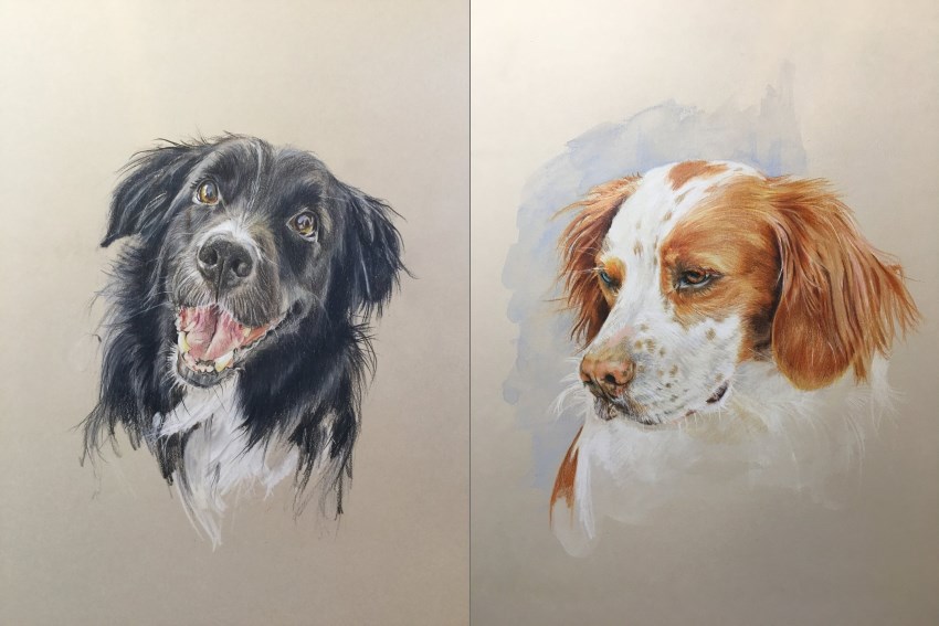שני ציורי דיוקן של כלבים על ידי קרוליין ואן ויק