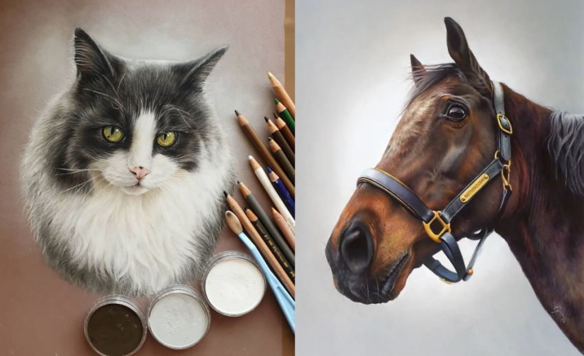 ציורים ריאליסטיים של חתול וסוס על ידי גרייס מארי