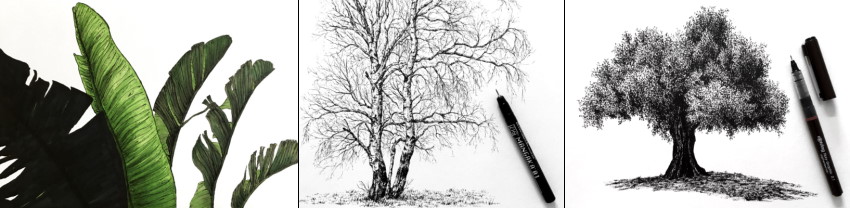 דוגמאות מהמדריך לציור עצים בעזרת עט