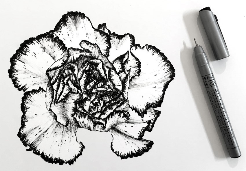 רישום בעט של פרח ציפורן