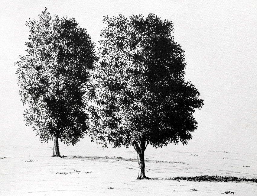 ציור ריאליסטי בעט של שני עצים