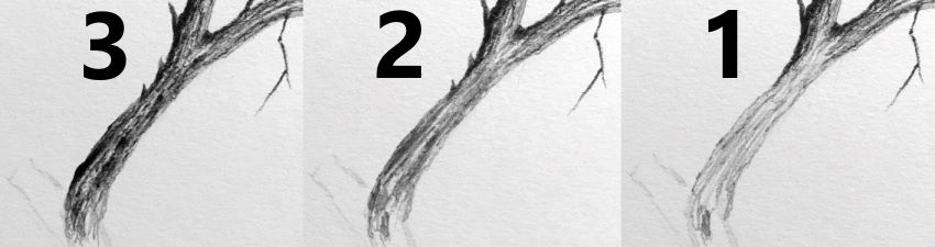 שלבים עבור ציור ענף עץ