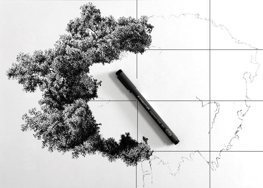 ציור של עץ גדול בעזרת רשת קווים מנחים