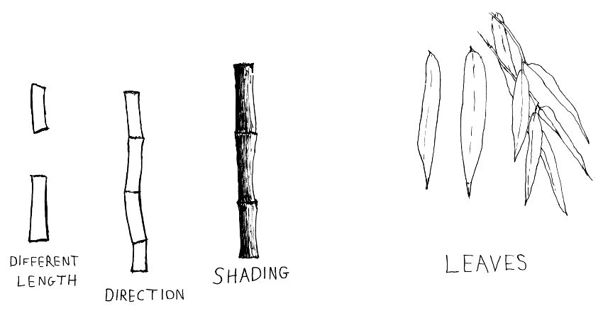 החלקים המרכיבים את עץ הבמבוק - רישום בעזרת עט