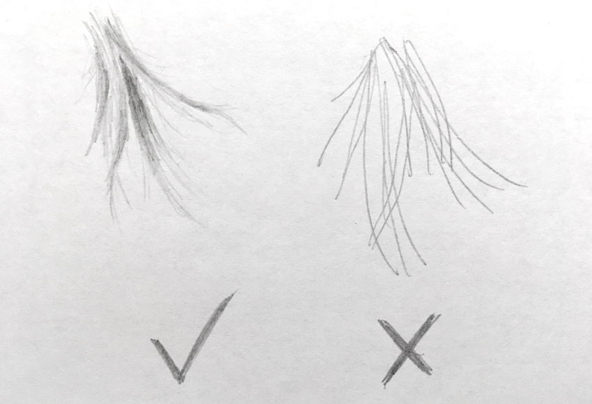 איך לצייר קבוצה של שערות