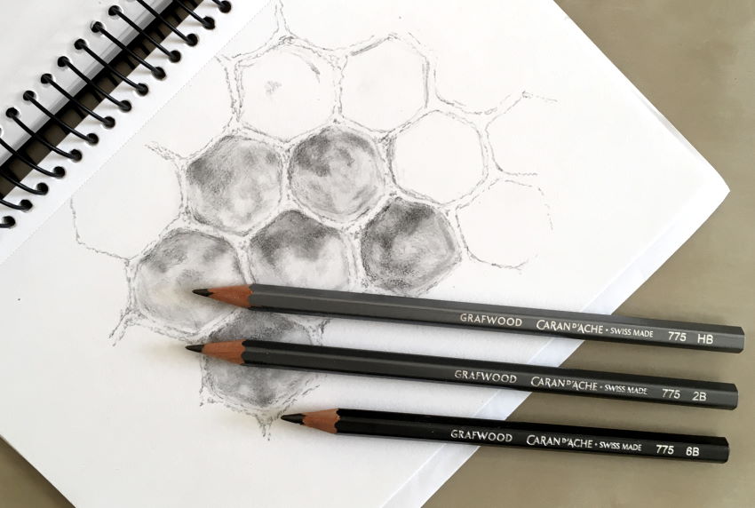 רישום בעיפרון של כוורת דבורים ושעווה