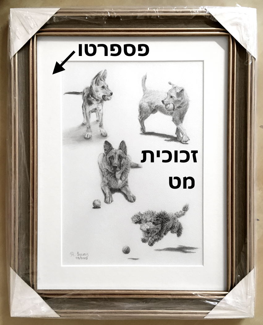 רישום ריאליסטי של כלבים עם מסגרת תמונה