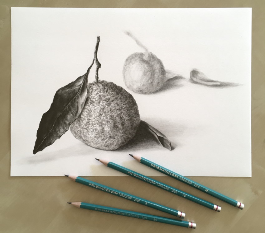 רישום ריאליסטי בעיפרון של תפוז, עם עפרונות פריזמה קולור