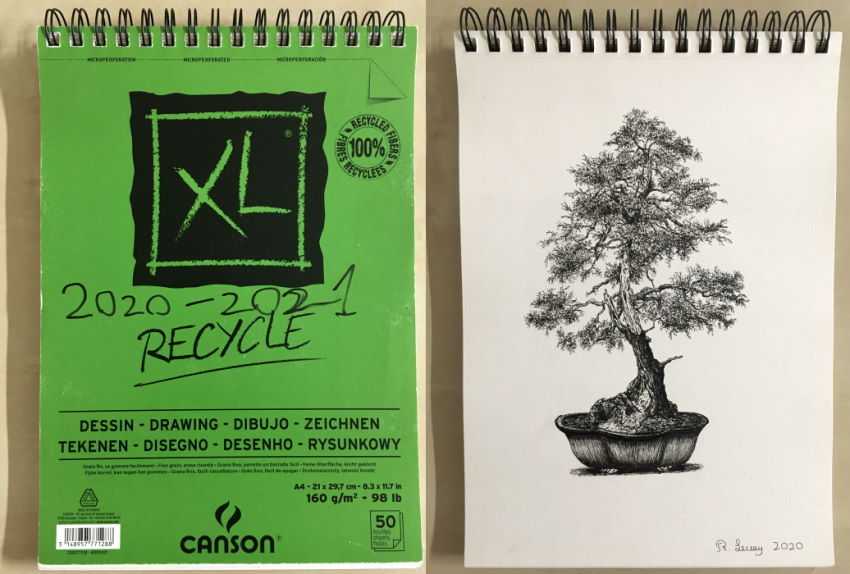 נייר Canson XL Recycle, ורישום בעט של עץ